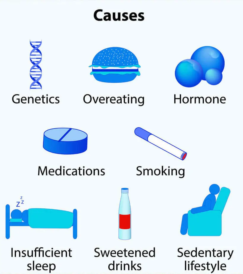 The Causes Of Obesity