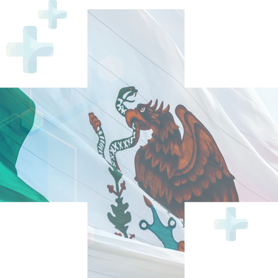 A mexican flag with an eagle on it.