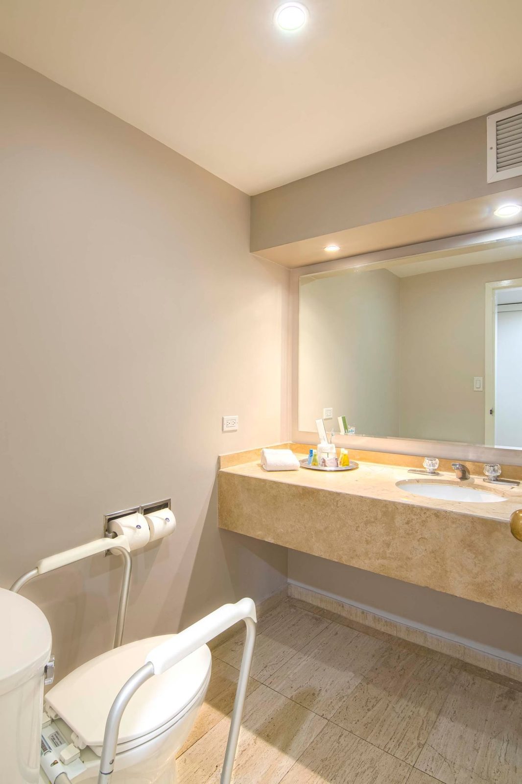 Private bathroom with toilet safety frame